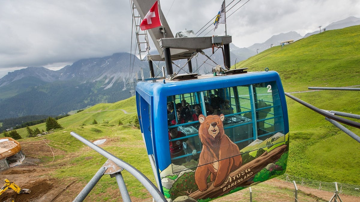 Hibrid mrkog i polarnog medveda uspešno zbrinut u Švajcarskoj 1