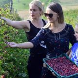 Podrška za voćare, stočare, pčelare 8