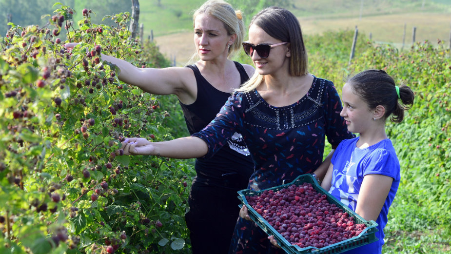 Podrška za voćare, stočare, pčelare 1