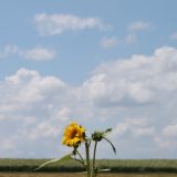 Nebo iznad Belgije zatvoreno 6