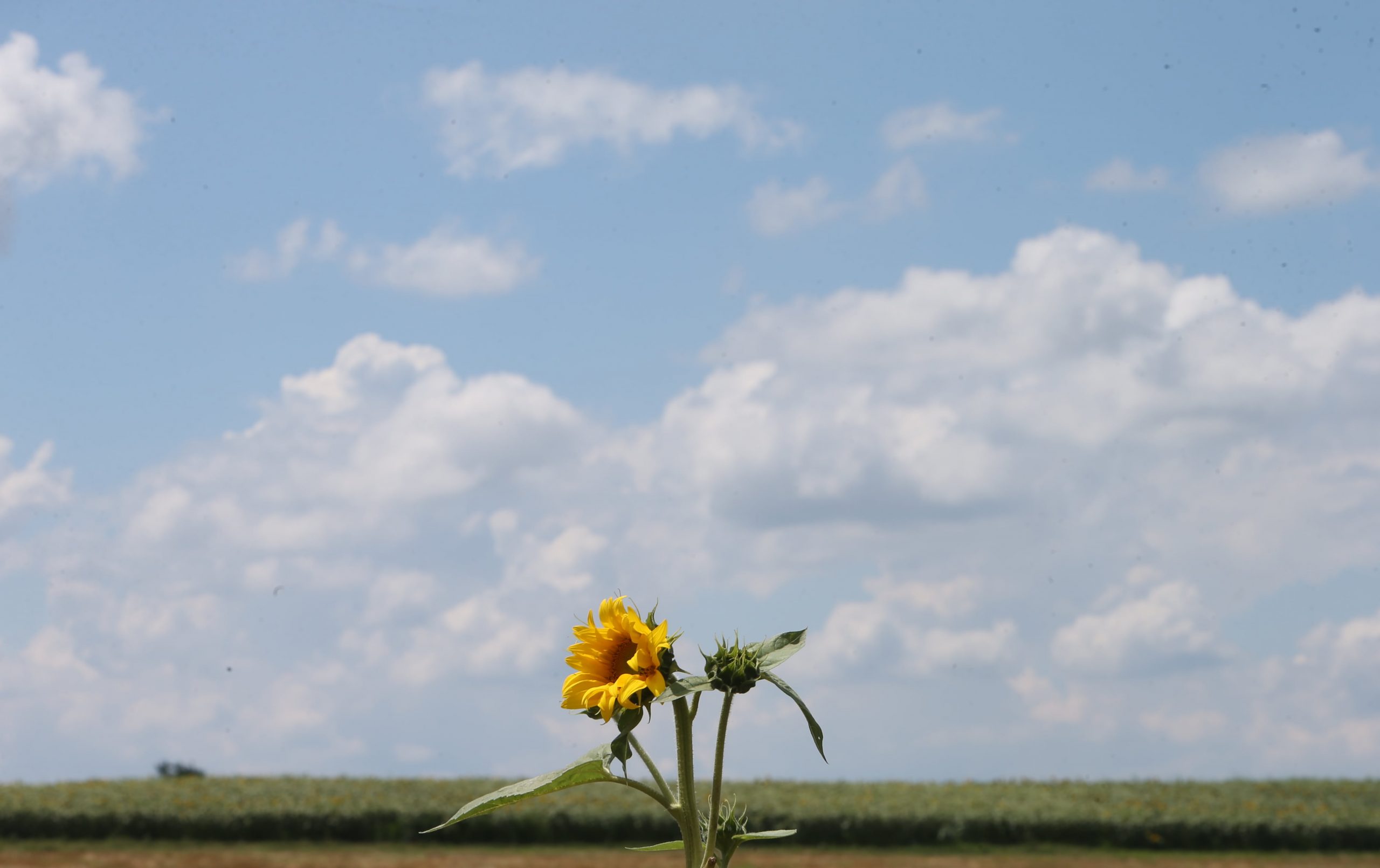 Nebo iznad Belgije zatvoreno 1