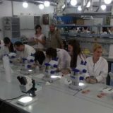 Svetski eksperti predaju u Petnici 9