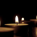 Ubijeno najmanje 207 aktivista za zaštitu životne sredine 3