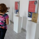 Dela kineskih vajara pred Piroćancima 9