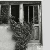 “Javni čas” o zločinu u selu Skočić kod Zvornika 15