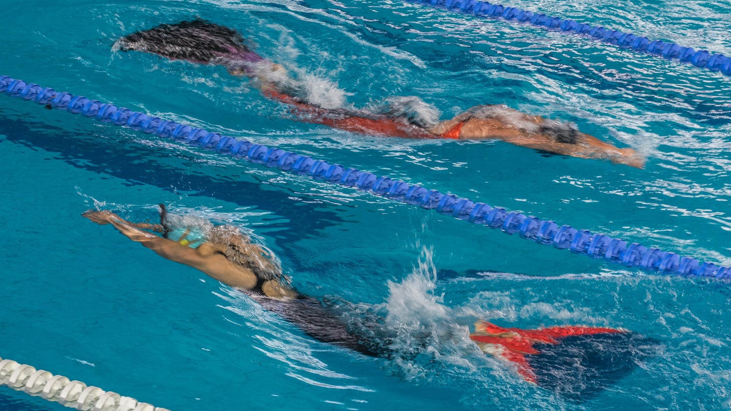 Završeno svetsko takmičenje u plivanju perajima i brzinskom ronjenju u Beogradu 1