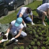 Velika volonterska akcija u Inkluzivnom centru "Mesto susreta" 9