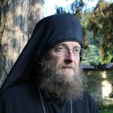 Sava Janjić: Izviniću se ako Beograd odbaci podelu Kosova 14