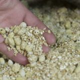 Srbija je lider u proizvodnji sirovina bez GMO 12