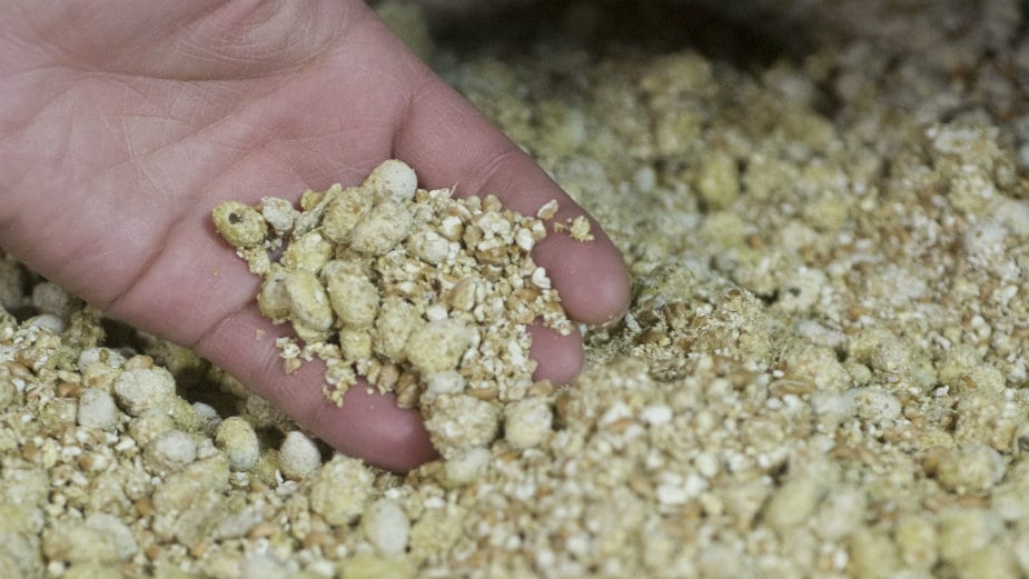 Srbija je lider u proizvodnji sirovina bez GMO 1