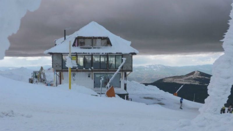 Uprava: Novac za kafe na Pančićevom vrhu nepoznatog porekla 1