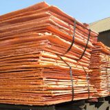 Kinezi ubedljivo najveći favoriti 12