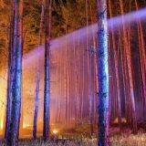 "Neviđeni požari" kod Berlina 1