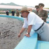 Severna Koreja kritikuje Ameriku, ali ne i Trampa 11