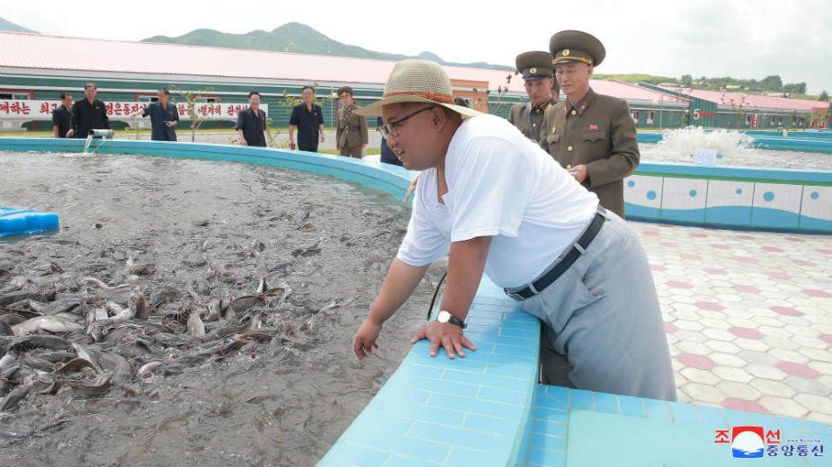 Severna Koreja kritikuje Ameriku, ali ne i Trampa 1