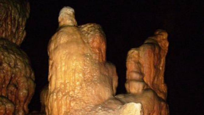 Obilasci Bogovinske pećine tokom cele godine 1