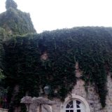 Budva: Lokalni avanturista svetskog karaktera 1