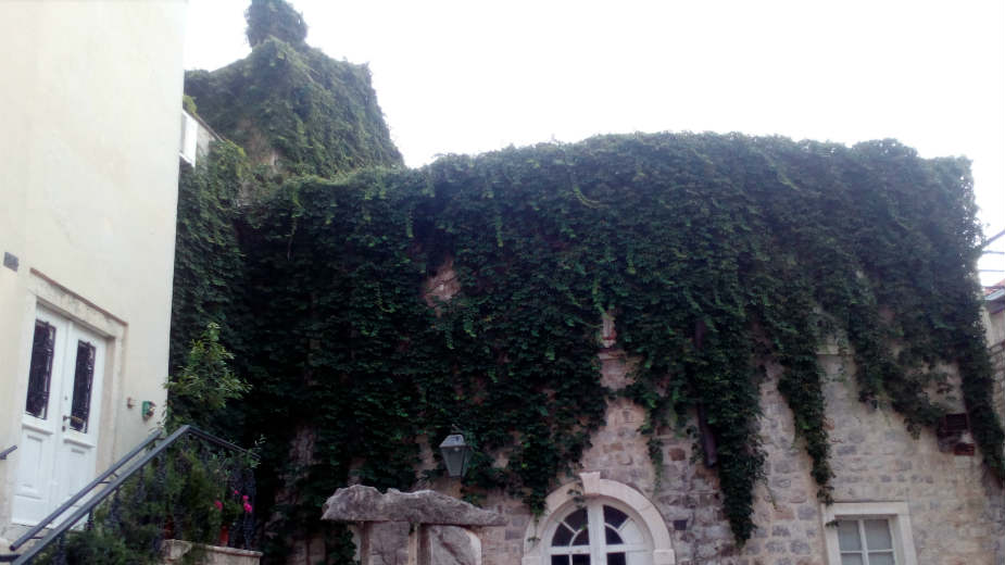 Budva: Lokalni avanturista svetskog karaktera 1