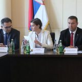 Brnabić u poseti Prokuplju 15