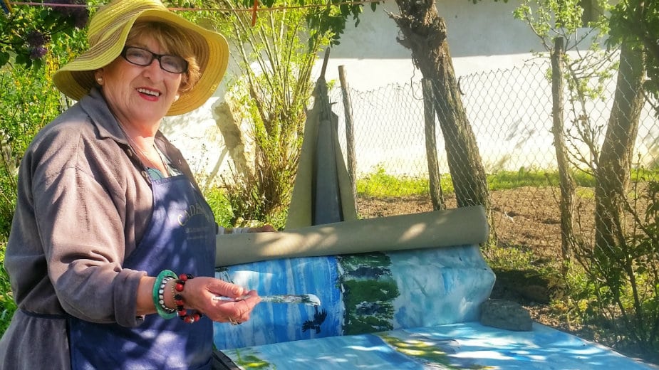 Najduža slika Dunava na svetu 1