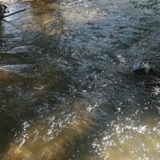 Izlio se mazut u reku Moravicu, vanredna situacija u opštini Ivanjica 2