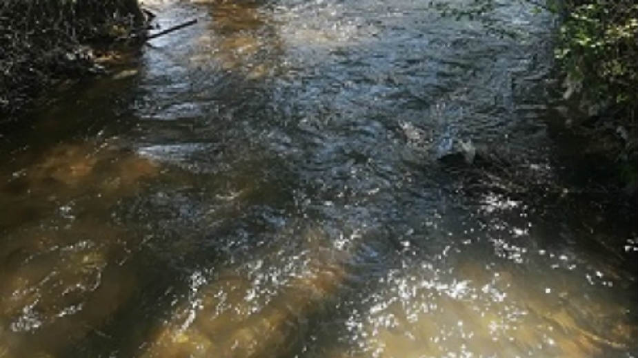 Na jugu Srbije minimalan porast vodostaja većih reka 1