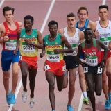 Od Ljajića do Islamovića, Pazarci nikada brojniji 2