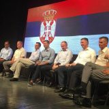 Vučićevih devet mačaka 12