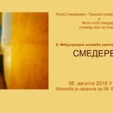 Juri Pustovoj pobednik Međunarodne izložbe fotografije 1