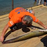 U Tekiji završeno nezvanično svetsko prvenstvo u lovu soma bućkom 3