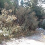 Uvreda za Olivera Ivanovića, njegovu porodicu i saradnike 12