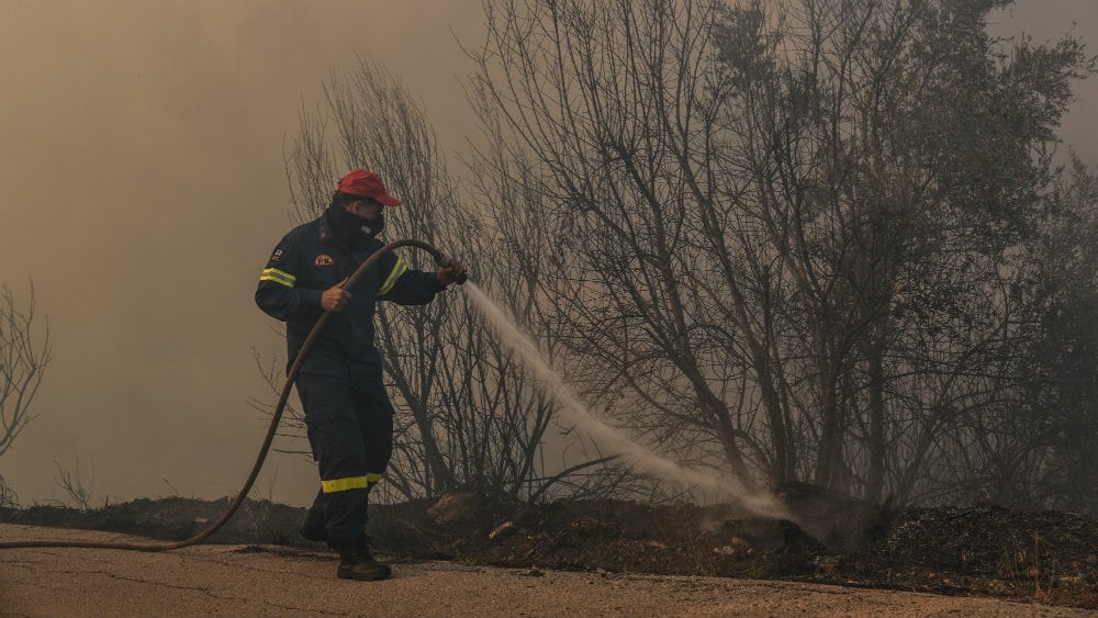 Novi šumski požar u Grčkoj 1