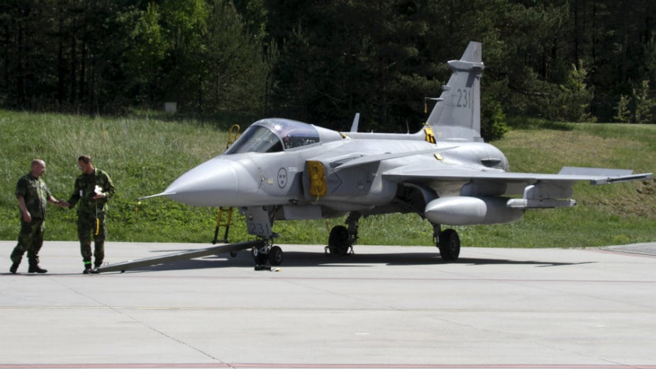 Borbeni švedski avion srušio se nakon sudara s pticom 1