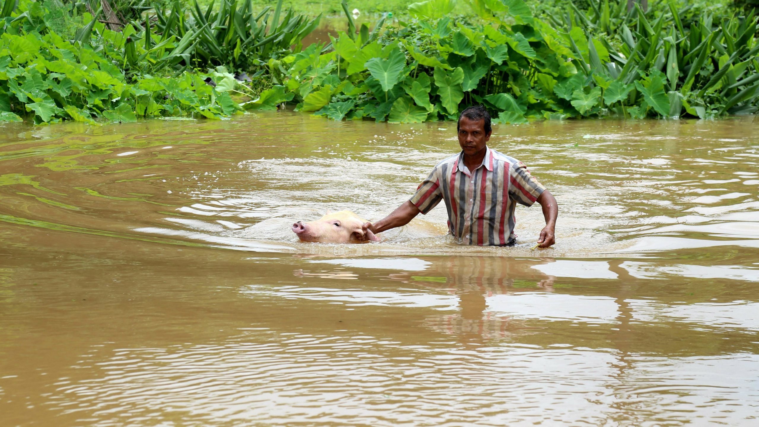 Indija: U ilegalnom rudniku uglja zbog poplave blokirano 13 rudara 1