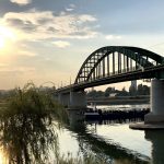 „Beogradski karneval brodova” četnaesti put na Savi (FOTO) 3