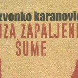 Na putu iza zapaljene šume 15