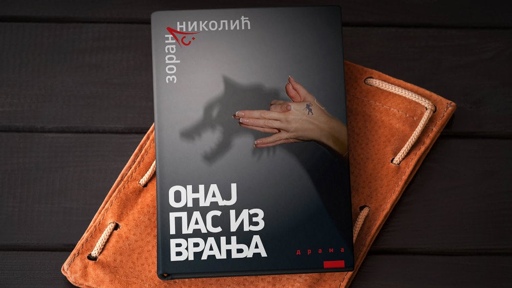 O južnjačkom Don Kihotu 1 O južnjačkom Don Kihotu 1