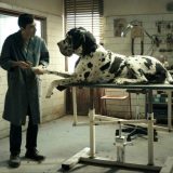 Filmovi solidne izlaznosti 15