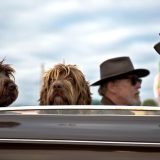 Šta je sve potrebno da biste putovali sa psom u zemlje EU? 9