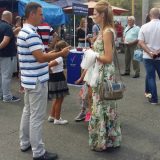 Aleksić: Vučić građanima predlaže da se „razgraniče“ sa zdravim razumom 11