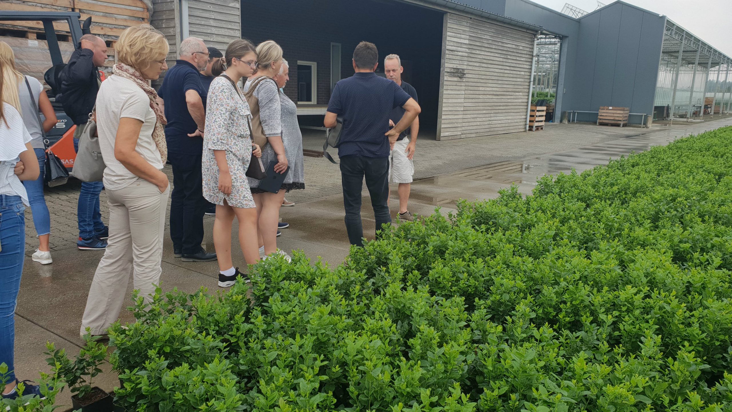 Poseta projektnog tima za razvoj hortikulture iz Šapca Holandiji 1