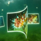 Prva podvodna izložba u Crnoj Gori 10