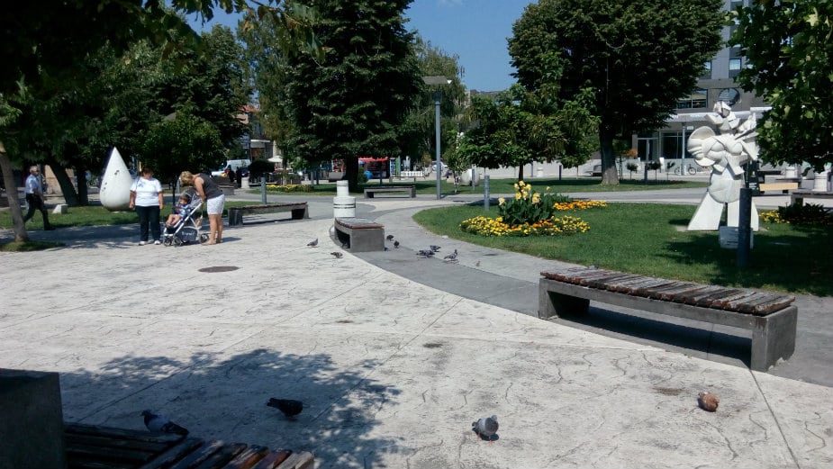 Gradonačelnik: Kada je reč o epidemiji korona virusa, situacija u Pirotu pod kontrolom 1