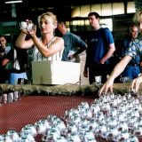 Opet odložen stečaj Staklare? 8