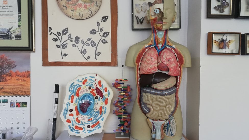 Srednjoškolci u Beogradu zainteresovani za odbranu i zaštitu 2 Kabinet biologije OŠ Drinka Pavlović