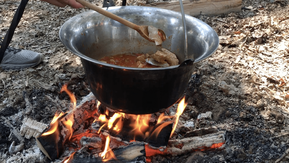 Kazan i beli bubrezi