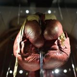 Bokser suspendovan pošto je poljubio novinarku tokom intervjua 11