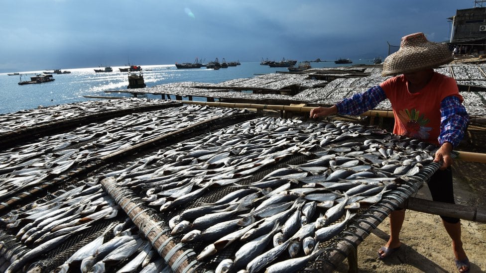 SAD uvele carine na kinesku robu u vrednosti od 200 milijardi dolara 3 Žena suši ribu u Šenženu