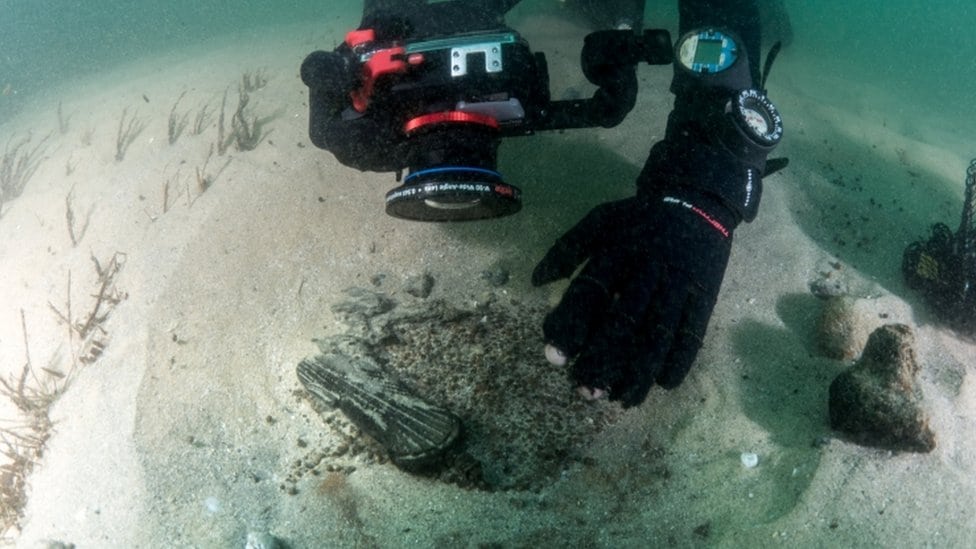 ronilac fotografiše ostatke oko olupine