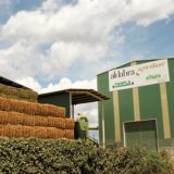 Ceo PKB ode za vraćanje dugova 5